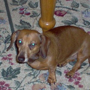 Meet your Posher, Jackie